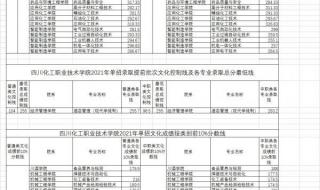 四川化工职业技术学院有哪些系